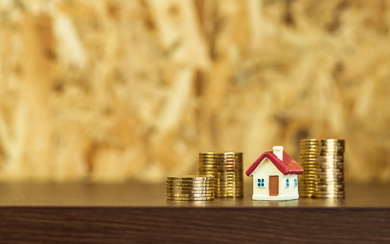 How Your Credit History Can Impact Home Insurance Premiums